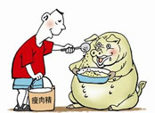 瘦肉精现身沃尔玛 供应商注册地“查无此人”