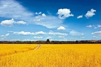 2016年农业补贴大汇总，千万不要错过申报时间!