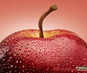 对进口食品要建立跨境追溯制度 