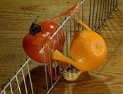 政商共享大数据，提升食品安全水平